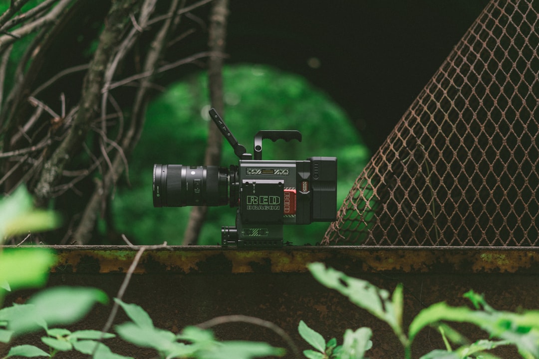 Photo Greenery, tools